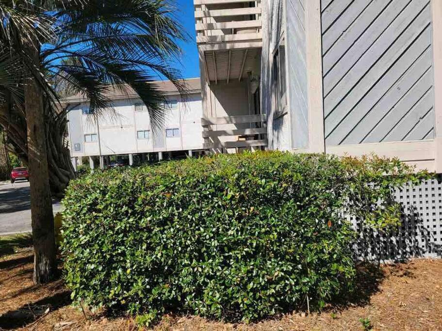 2022 Renovated 2-Bdrm Cozy, Lovely Condo W/Parking! Hilton Head Island Kültér fotó